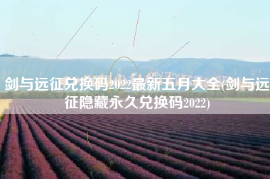 剑与远征兑换码2022最新五月大全(剑与远征隐藏永久兑换码2022)
