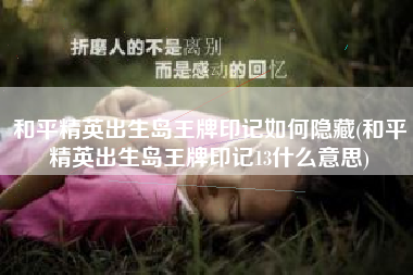 和平精英出生岛王牌印记如何隐藏(和平精英出生岛王牌印记13什么意思)