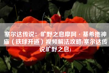 塞尔达传说：旷野之息摩阿·基希拖神庙（铁球开道）视频解法攻略(塞尔达传说旷野之息)