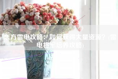 东方雷电攻略：如何获得大量资源？(雷电将军培养攻略)