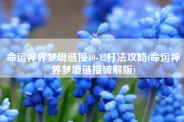 命运神界梦境链接10-12打法攻略(命运神界梦境链接破解版)
