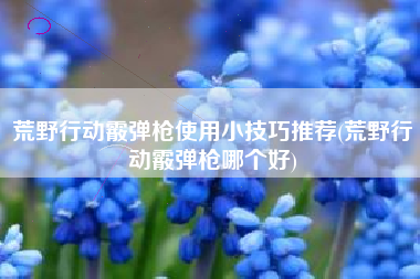 荒野行动霰弹枪使用小技巧推荐(荒野行动霰弹枪哪个好)