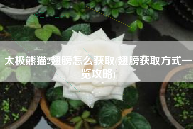 太极熊猫2翅膀怎么获取(翅膀获取方式一览攻略)