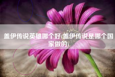 盖伊传说英雄哪个好(盖伊传说是哪个国家做的)