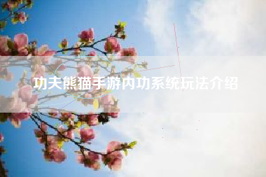 功夫熊猫手游内功系统玩法介绍