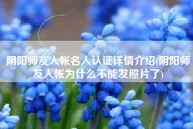 阴阳师友人帐名人认证详情介绍(阴阳师友人帐为什么不能发照片了)
