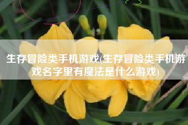 生存冒险类手机游戏(生存冒险类手机游戏名字里有魔法是什么游戏)