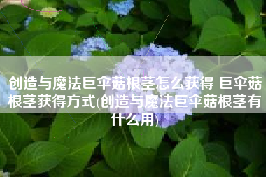创造与魔法巨伞菇根茎怎么获得 巨伞菇根茎获得方式(创造与魔法巨伞菇根茎有什么用)