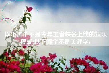 以下哪个不是今年王者峡谷上线的娱乐模式(以下哪个不是关键字)