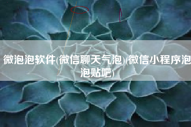 微泡泡软件(微信聊天气泡)(微信小程序泡泡贴吧)