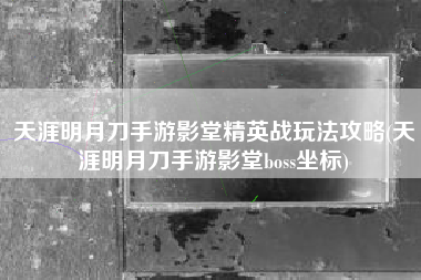 天涯明月刀手游影堂精英战玩法攻略(天涯明月刀手游影堂boss坐标)