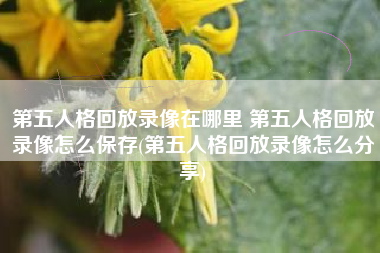 第五人格回放录像在哪里 第五人格回放录像怎么保存(第五人格回放录像怎么分享)