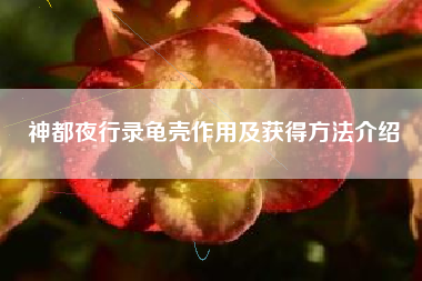 神都夜行录龟壳作用及获得方法介绍
