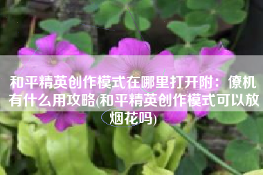 和平精英创作模式在哪里打开附：僚机有什么用攻略(和平精英创作模式可以放烟花吗)
