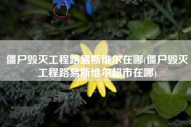 僵尸毁灭工程路易斯维尔在哪(僵尸毁灭工程路易斯维尔超市在哪)