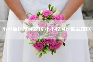 小小蚁国发展攻略(小小蚁国区域战攻略)
