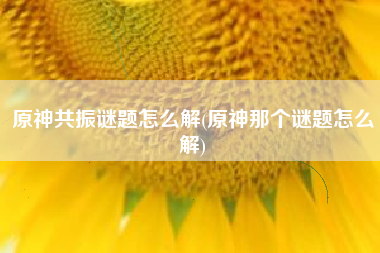 原神共振谜题怎么解(原神那个谜题怎么解)