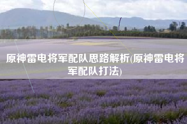 原神雷电将军配队思路解析(原神雷电将军配队打法)