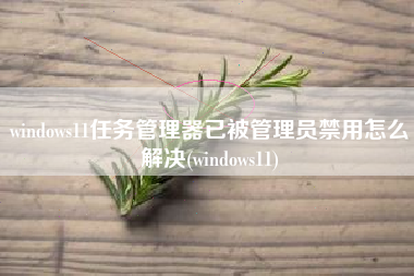 windows11任务管理器已被管理员禁用怎么解决(windows11)