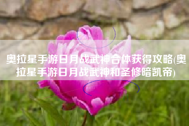 奥拉星手游日月战武神合体获得攻略(奥拉星手游日月战武神和圣修暗凯帝)