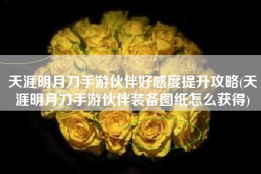 天涯明月刀手游伙伴好感度提升攻略(天涯明月刀手游伙伴装备图纸怎么获得)