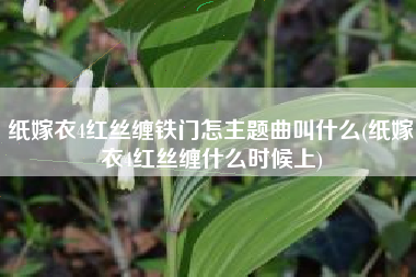 纸嫁衣4红丝缠铁门怎主题曲叫什么(纸嫁衣4红丝缠什么时候上)