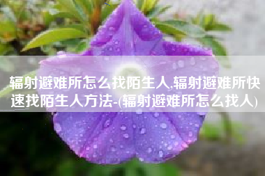 辐射避难所怎么找陌生人,辐射避难所快速找陌生人方法-(辐射避难所怎么找人)