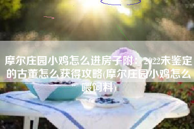 摩尔庄园小鸡怎么进房子附：2022未鉴定的古董怎么获得攻略(摩尔庄园小鸡怎么喂饲料)