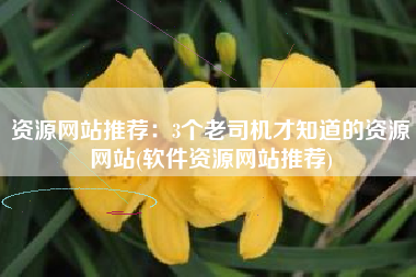 资源网站推荐：3个老司机才知道的资源网站(软件资源网站推荐)