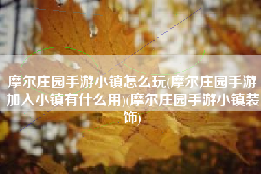 摩尔庄园手游小镇怎么玩(摩尔庄园手游加入小镇有什么用)(摩尔庄园手游小镇装饰)