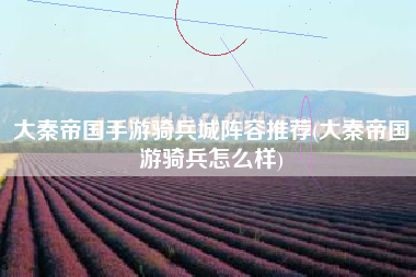 大秦帝国手游骑兵城阵容推荐(大秦帝国游骑兵怎么样)