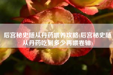 后宫秘史随从丹药喂养攻略(后宫秘史随从丹药吃到多少再喂卷轴)