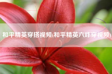 和平精英穿搭视频(和平精英六咋穿视频)