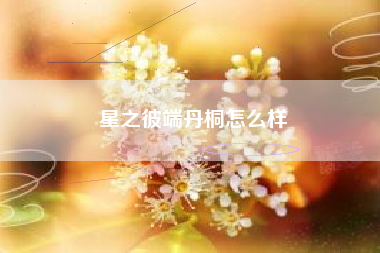 星之彼端丹桐怎么样