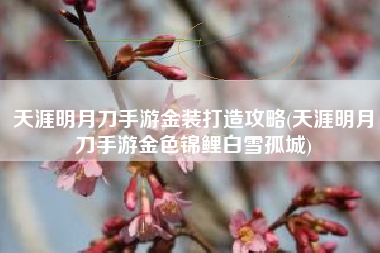 天涯明月刀手游金装打造攻略(天涯明月刀手游金色锦鲤白雪孤城)