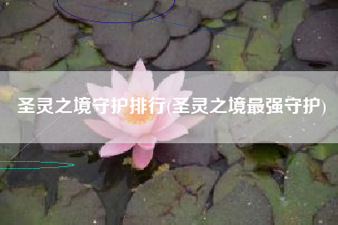 圣灵之境守护排行(圣灵之境最强守护)