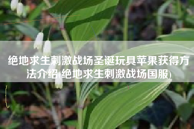 绝地求生刺激战场圣诞玩具苹果获得方法介绍(绝地求生刺激战场国服)