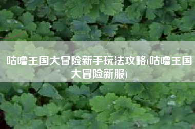 咕噜王国大冒险新手玩法攻略(咕噜王国大冒险新服)