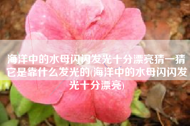 海洋中的水母闪闪发光十分漂亮猜一猜它是靠什么发光的(海洋中的水母闪闪发光十分漂亮)