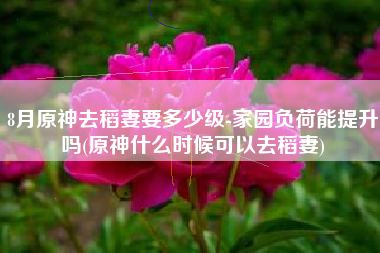 8月原神去稻妻要多少级-家园负荷能提升吗(原神什么时候可以去稻妻)
