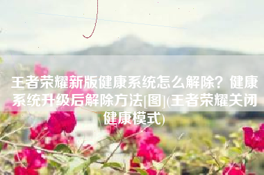 王者荣耀新版健康系统怎么解除？健康系统升级后解除方法[图](王者荣耀关闭健康模式)