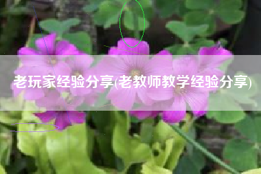 老玩家经验分享(老教师教学经验分享)