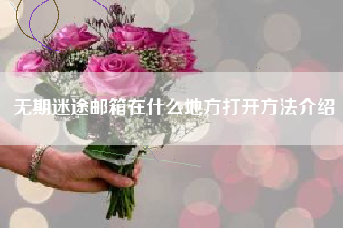无期迷途邮箱在什么地方打开方法介绍