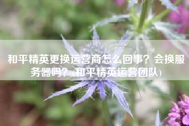 和平精英更换运营商怎么回事？会换服务器吗？(和平精英运营团队)