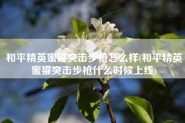 和平精英蜜罐突击步枪怎么样(和平精英蜜獾突击步枪什么时候上线)