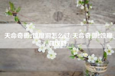 天命奇御2蚀靡洞怎么过(天命奇御2蚀靡洞攻略)
