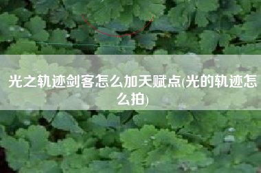 光之轨迹剑客怎么加天赋点(光的轨迹怎么拍)