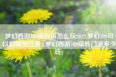 梦幻西游109级应该怎么玩2022,梦幻109可以做哪些任务-(梦幻西游109级转门派多少钱)