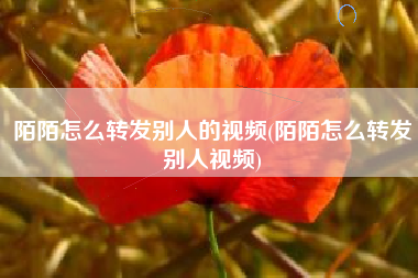 陌陌怎么转发别人的视频(陌陌怎么转发别人视频)