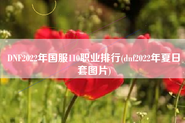 DNF2022年国服110职业排行(dnf2022年夏日套图片)